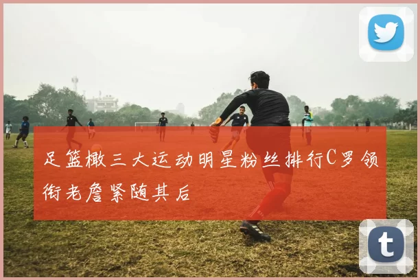 足篮橄三大运动明星粉丝排行C罗领衔老詹紧随其后