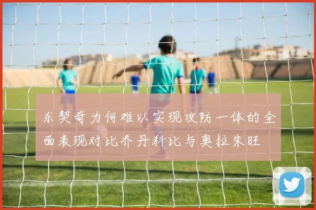 东契奇为何难以实现攻防一体的全面表现对比乔丹科比与奥拉朱旺