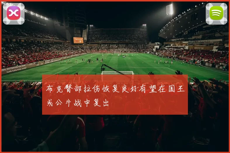 布克臀部拉伤恢复良好有望在国王或公牛战中复出